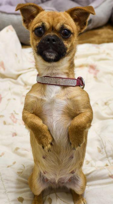 Glo (with Aaron Thirty)