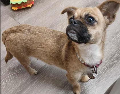 Glo (with Aaron Thirty)