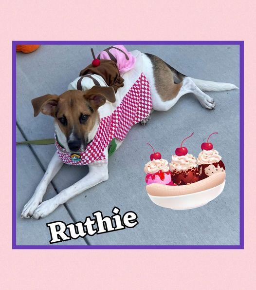 Enlarge Ruthie, a Adoptable mixed breed in Raleigh, NC image 2/6