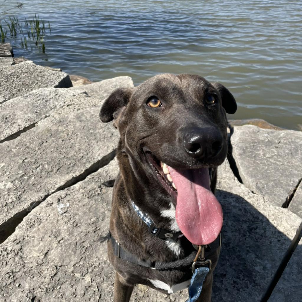 Sparky — thumbnail 3