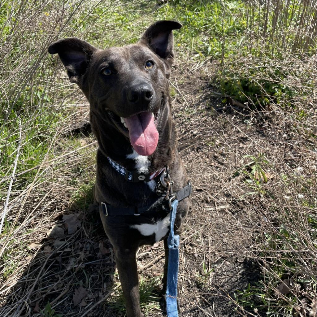 Sparky — thumbnail 5