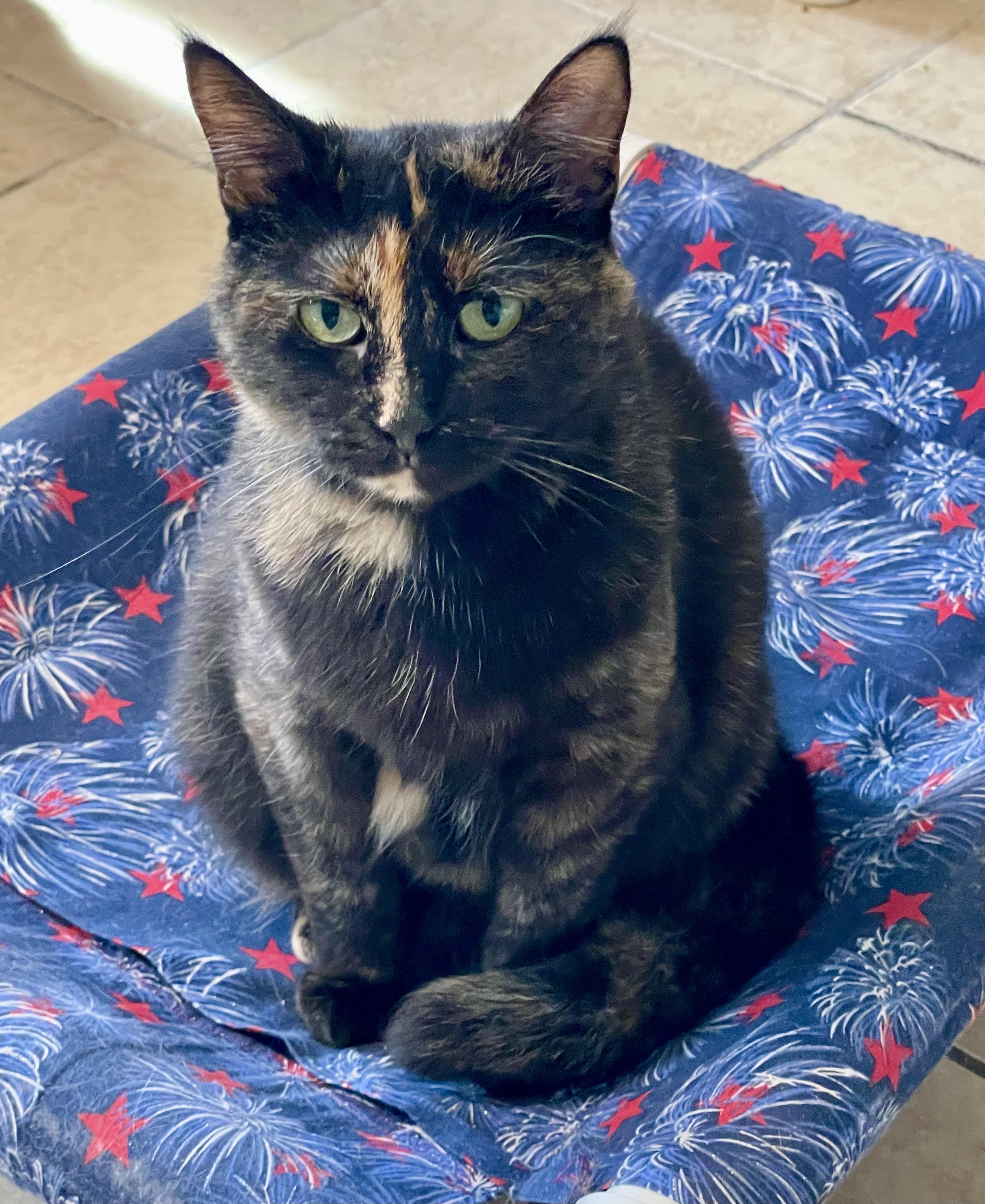 Bella