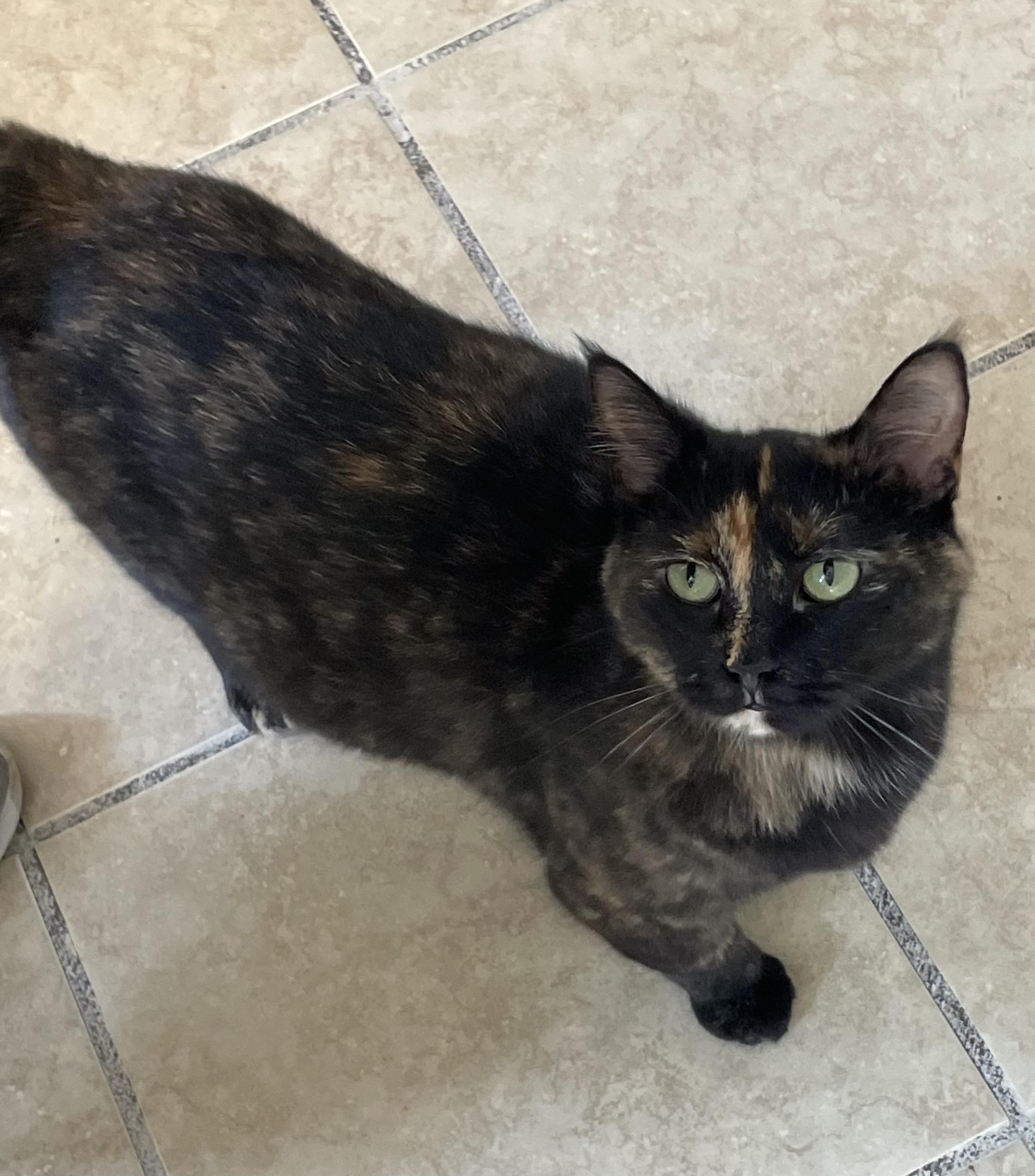 Bella