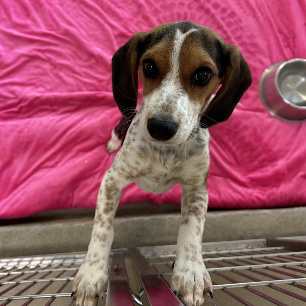 Bonnie — thumbnail 2