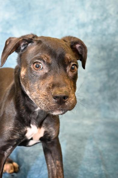 Folly — thumbnail 4