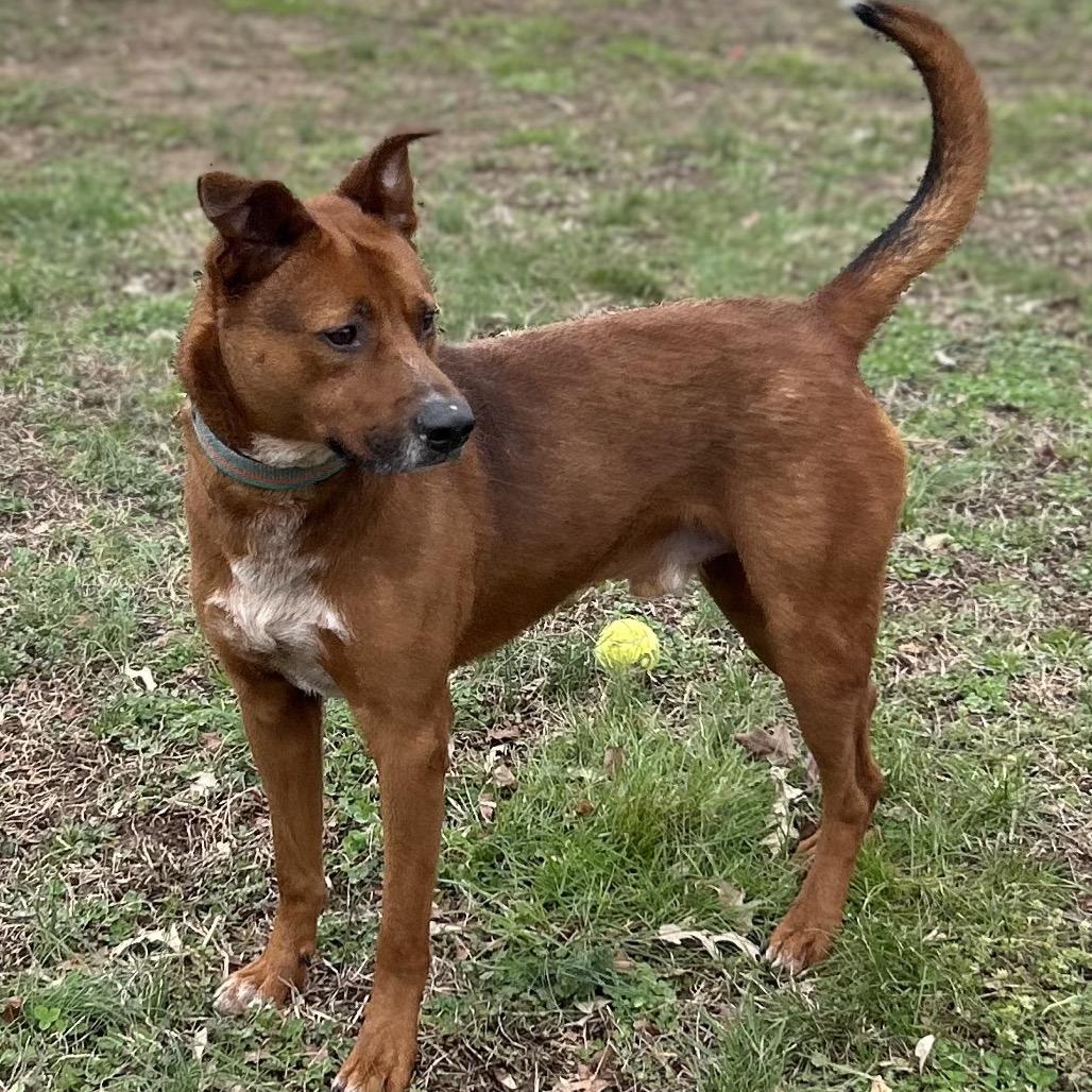 Barnacle — thumbnail 2