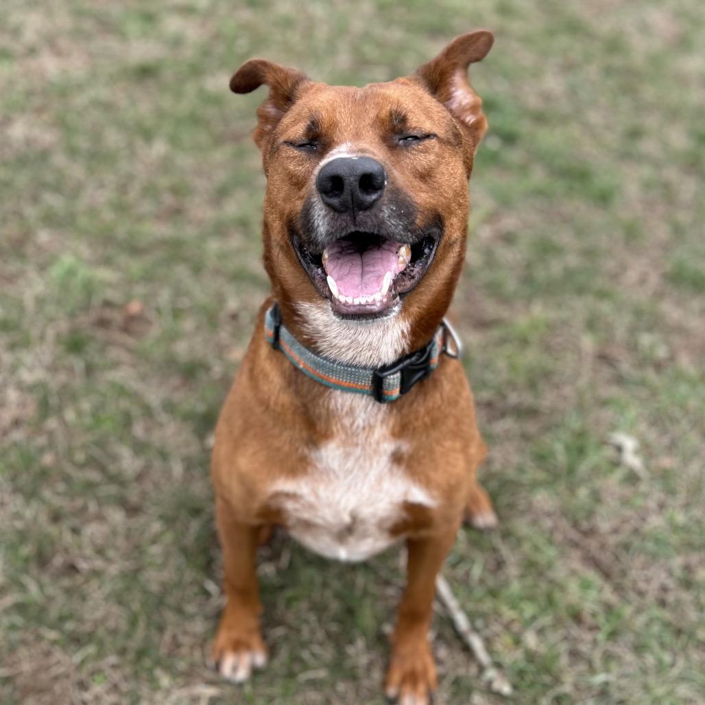 Barnacle — thumbnail 3