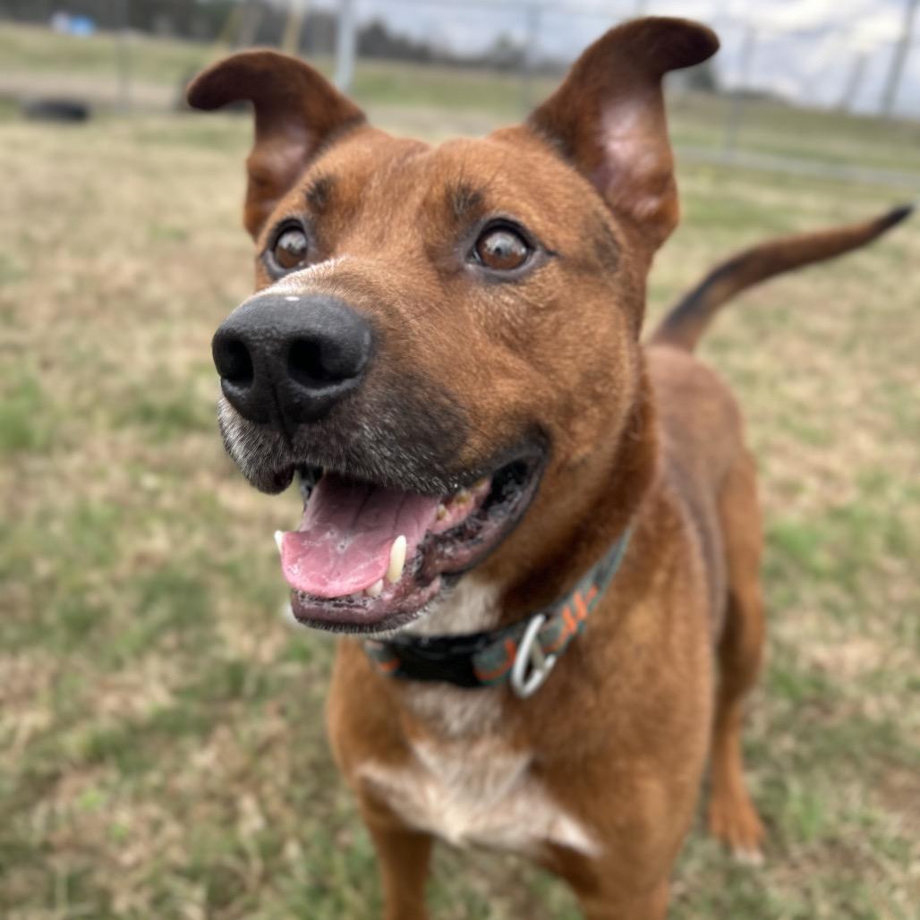 Barnacle — thumbnail 4