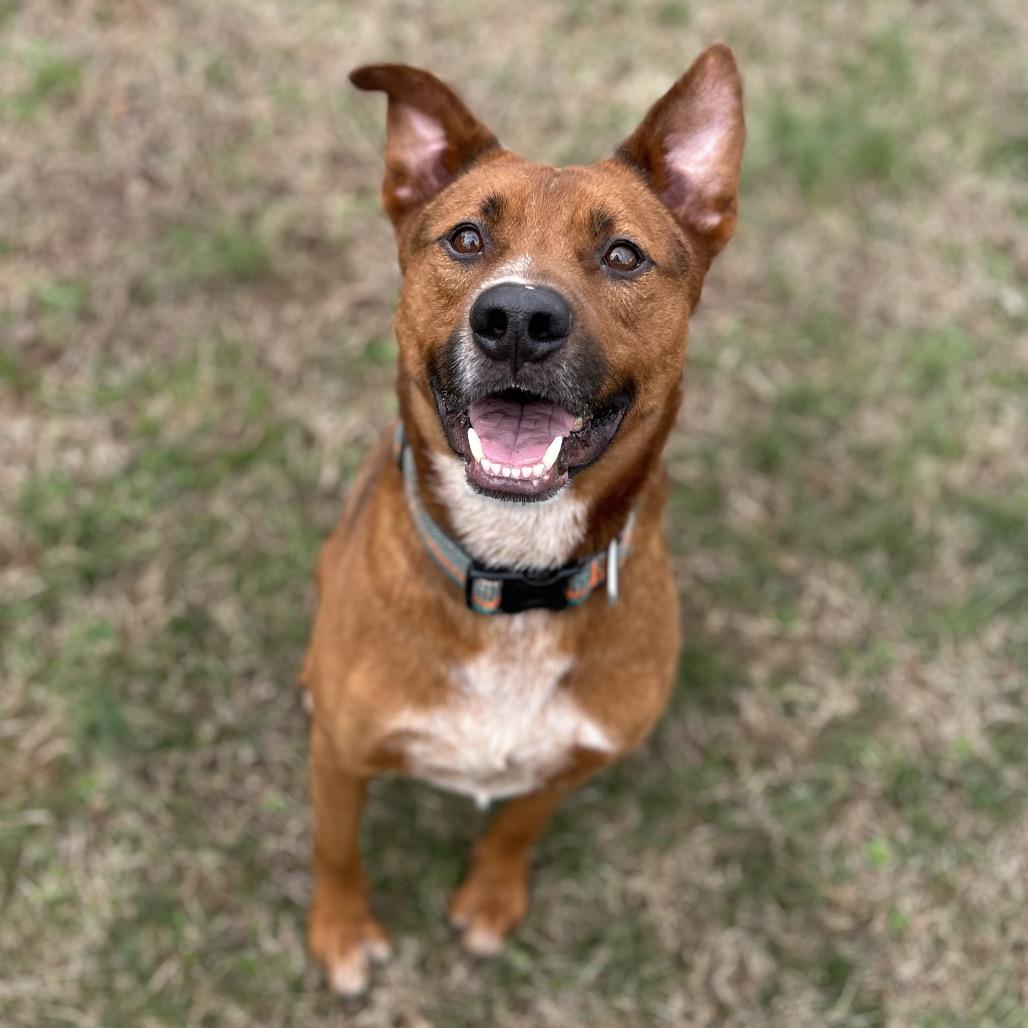 Barnacle — thumbnail 6