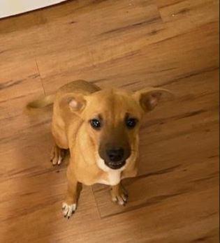 Clementine thumbnail 4