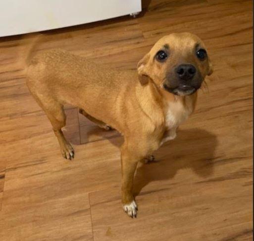 Clementine thumbnail 5