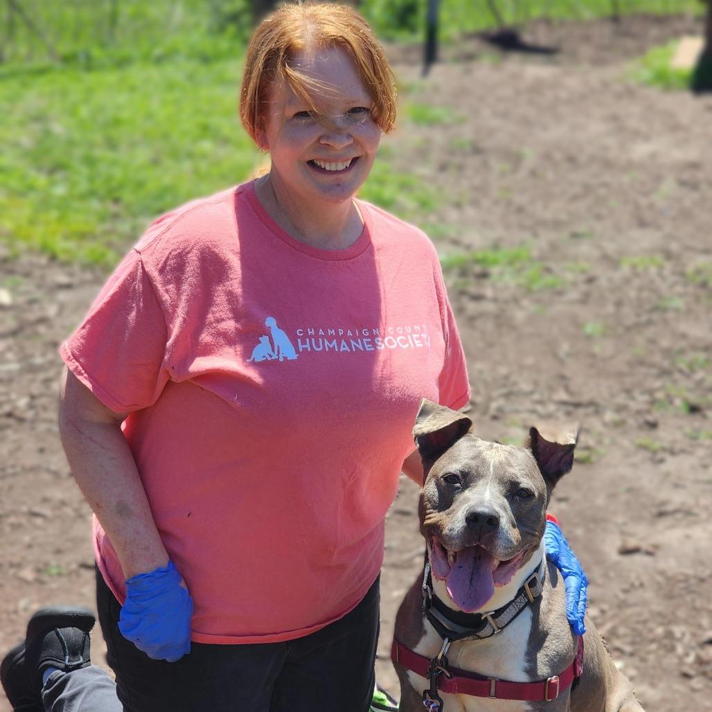 Esha, Adoptable, Senior Female Pit Bull Terrier.