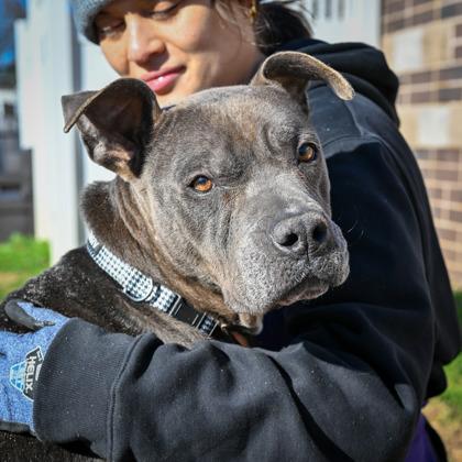 Vanna — thumbnail 3