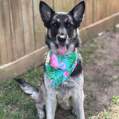 Freya
