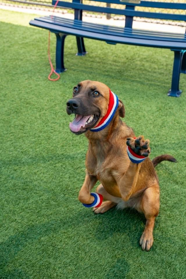 BRYNN- BEAUTIFUL & BUBBLY!