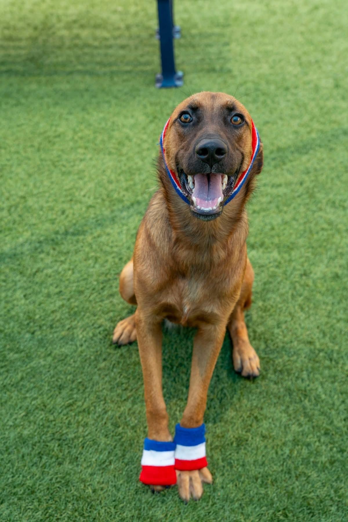 BRYNN- BEAUTIFUL & BUBBLY!