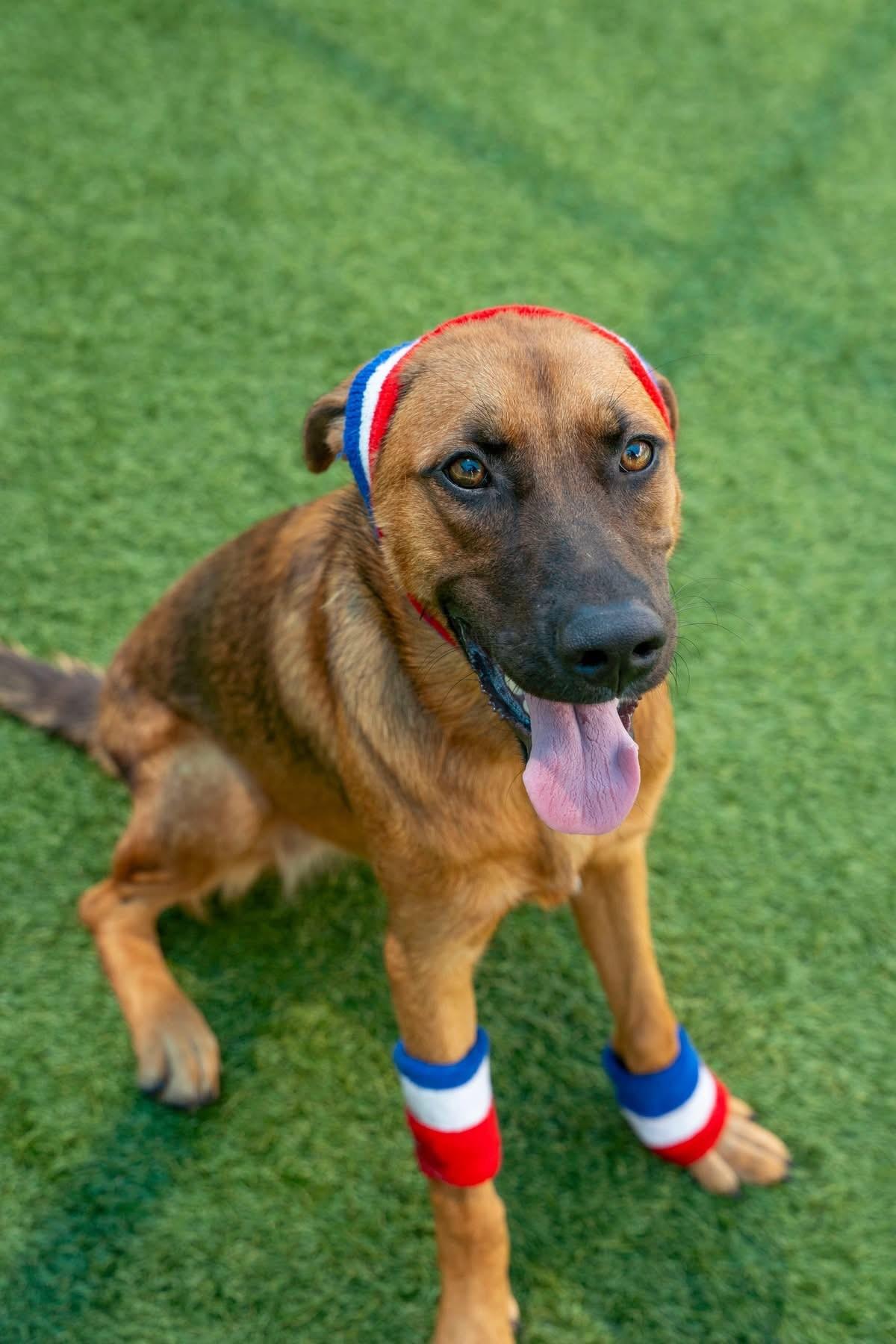 BRYNN- BEAUTIFUL & BUBBLY!