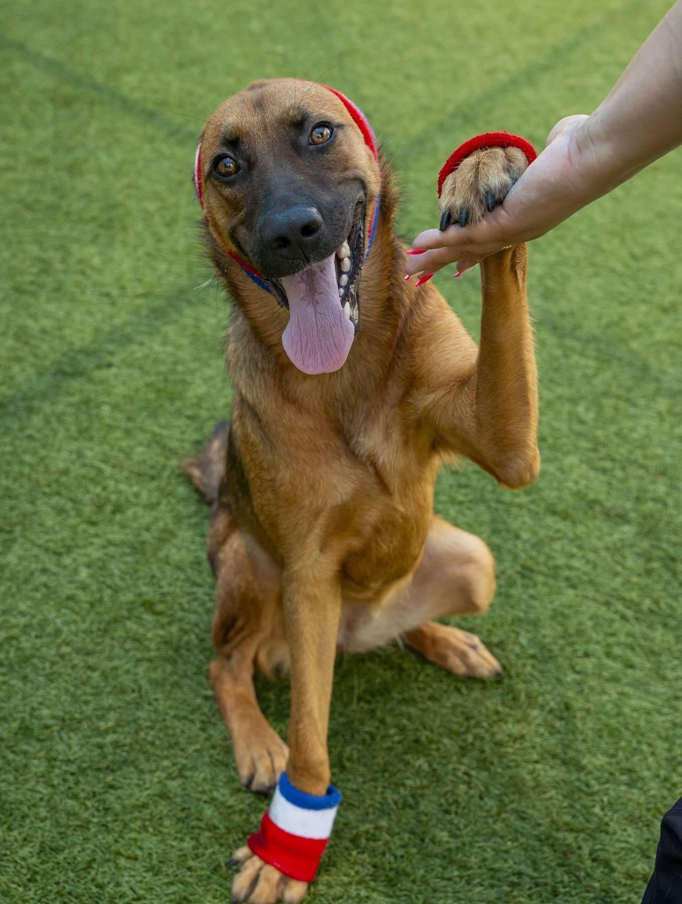 BRYNN- BEAUTIFUL & BUBBLY!