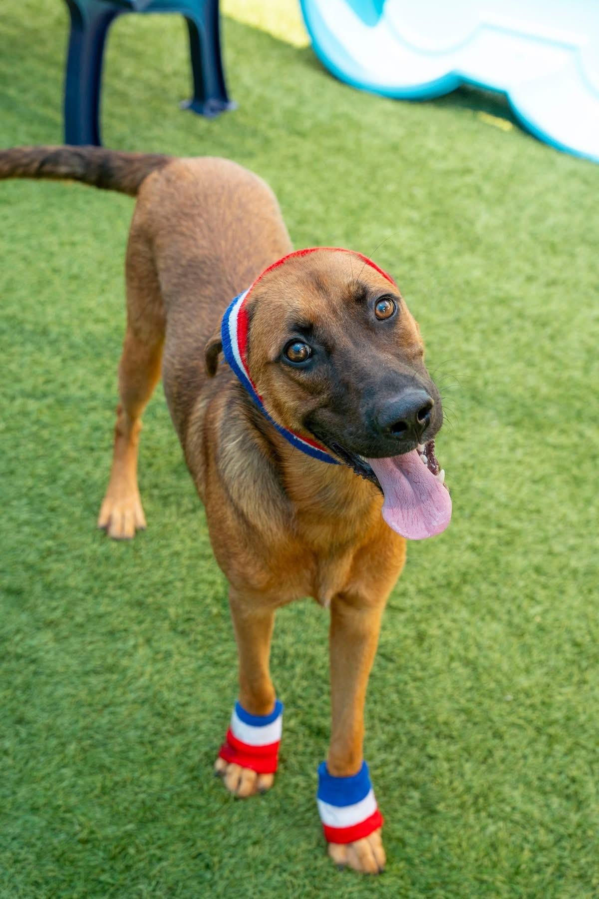 BRYNN- BEAUTIFUL & BUBBLY!