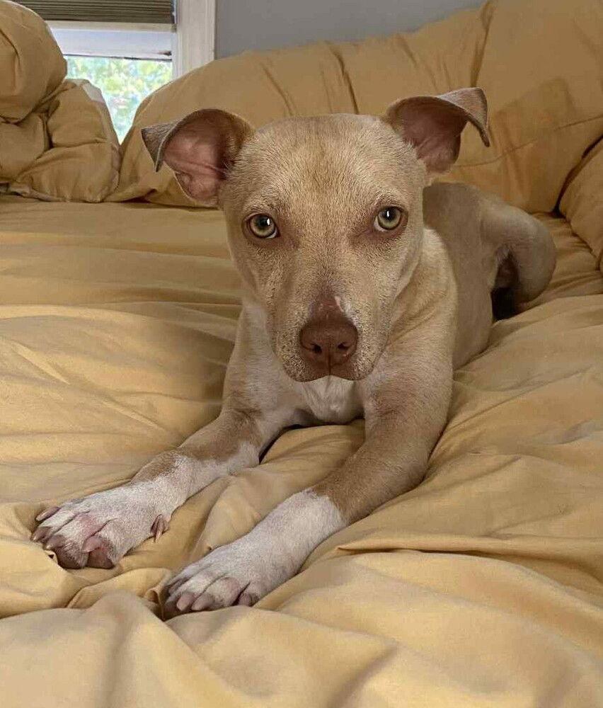 Malachite thumbnail 2