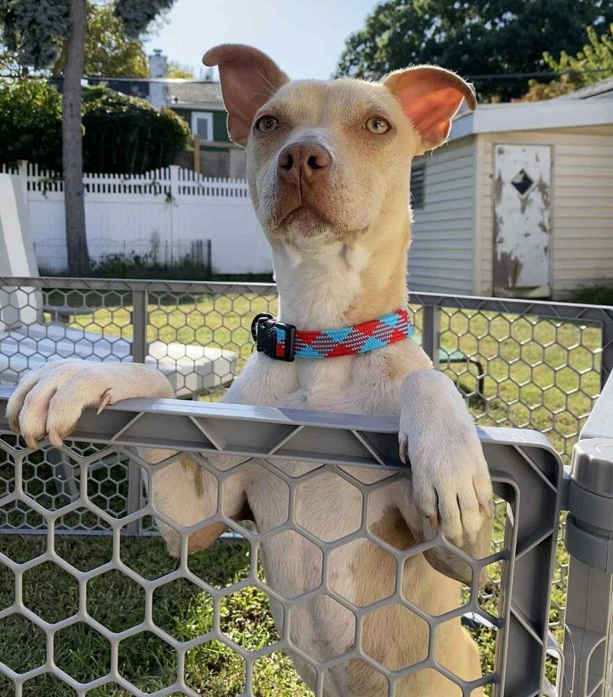 Malachite thumbnail 3