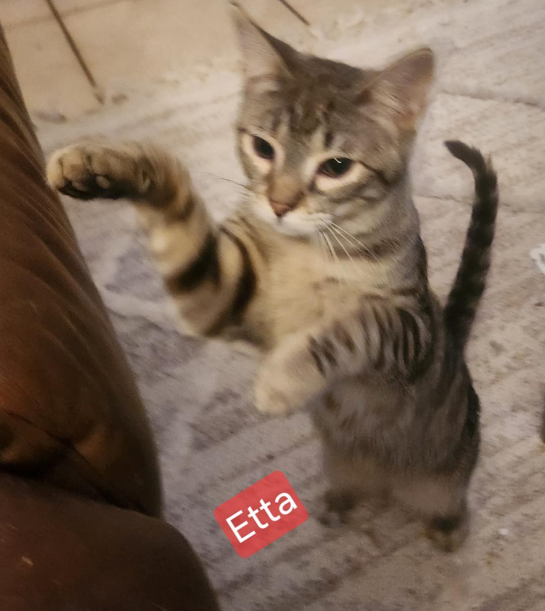 Etta