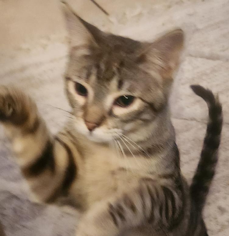 Etta