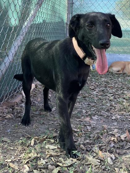 Daniela — thumbnail 2