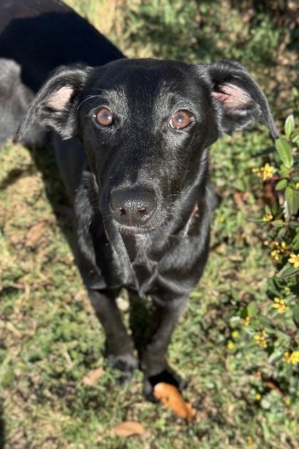 Daniela — thumbnail 3