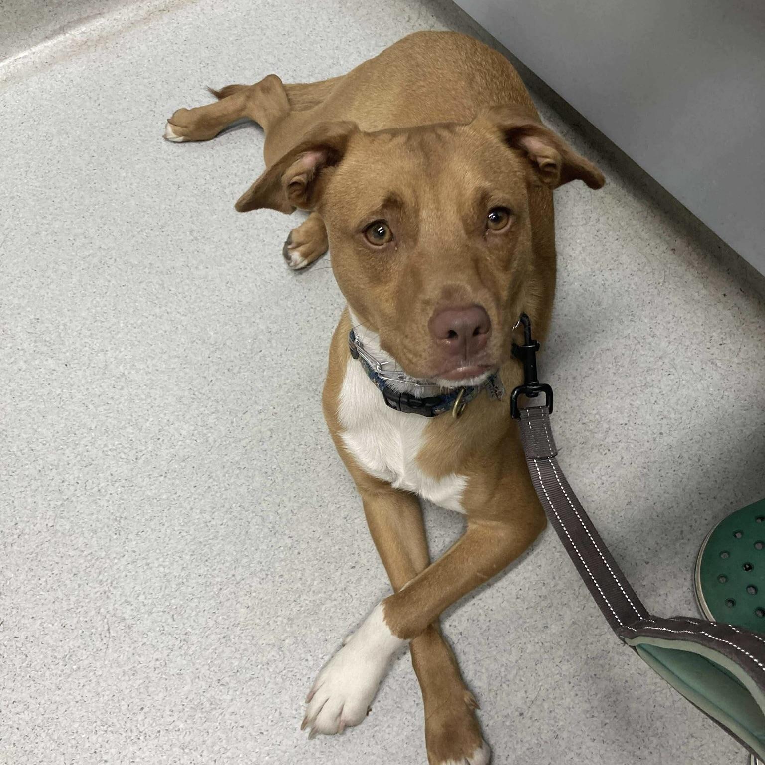 Lucy (20250518-02) — thumbnail 3