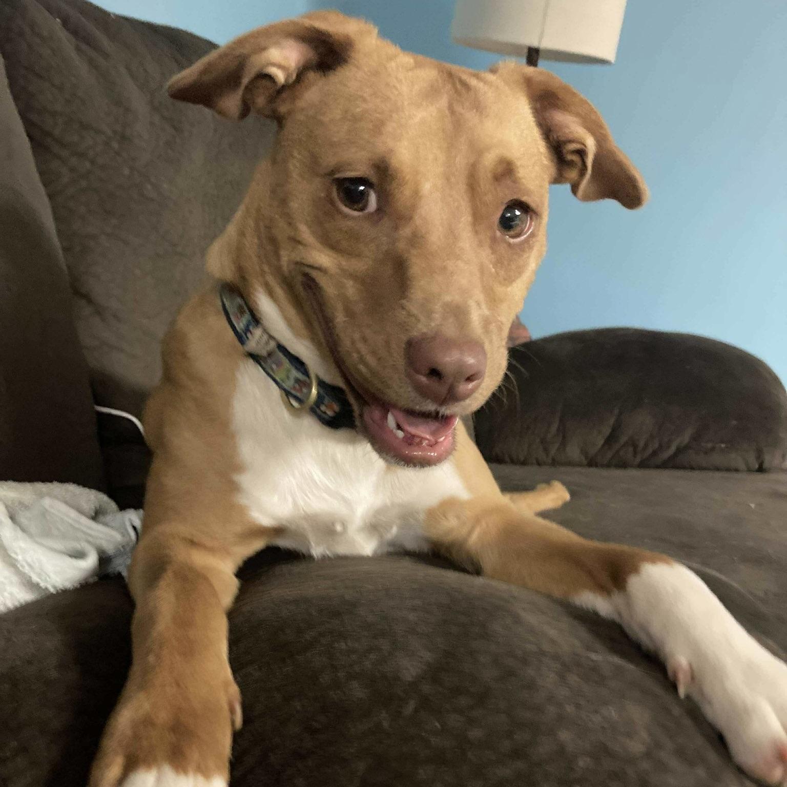 Lucy (20250518-02) — thumbnail 5