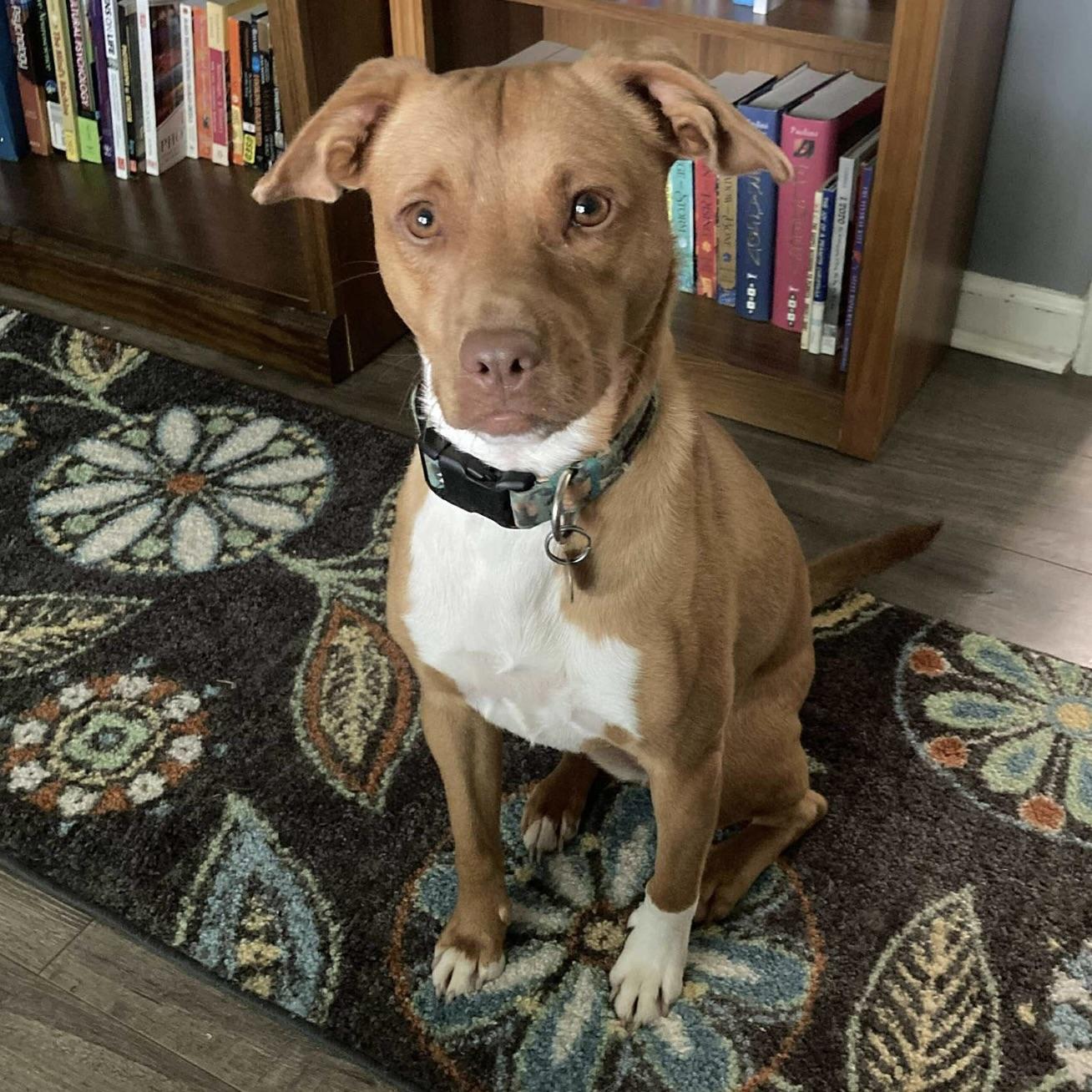 Lucy (20250518-02) — thumbnail 6