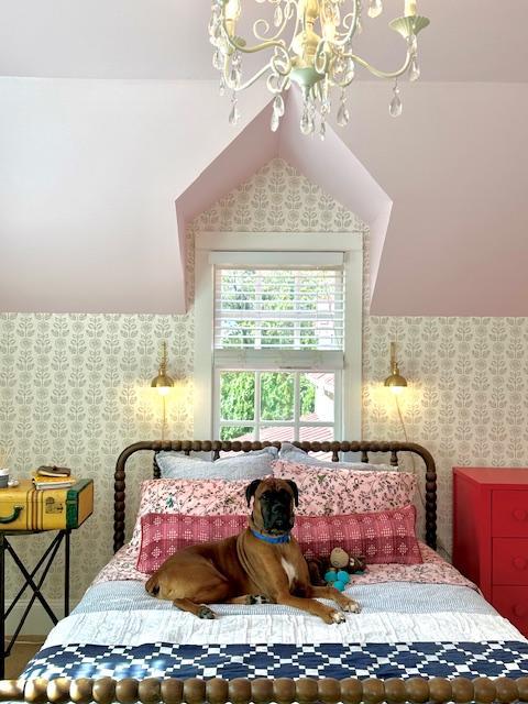 Enlarge Archie, a Adopted Boxer in Reston, VA image 2/3