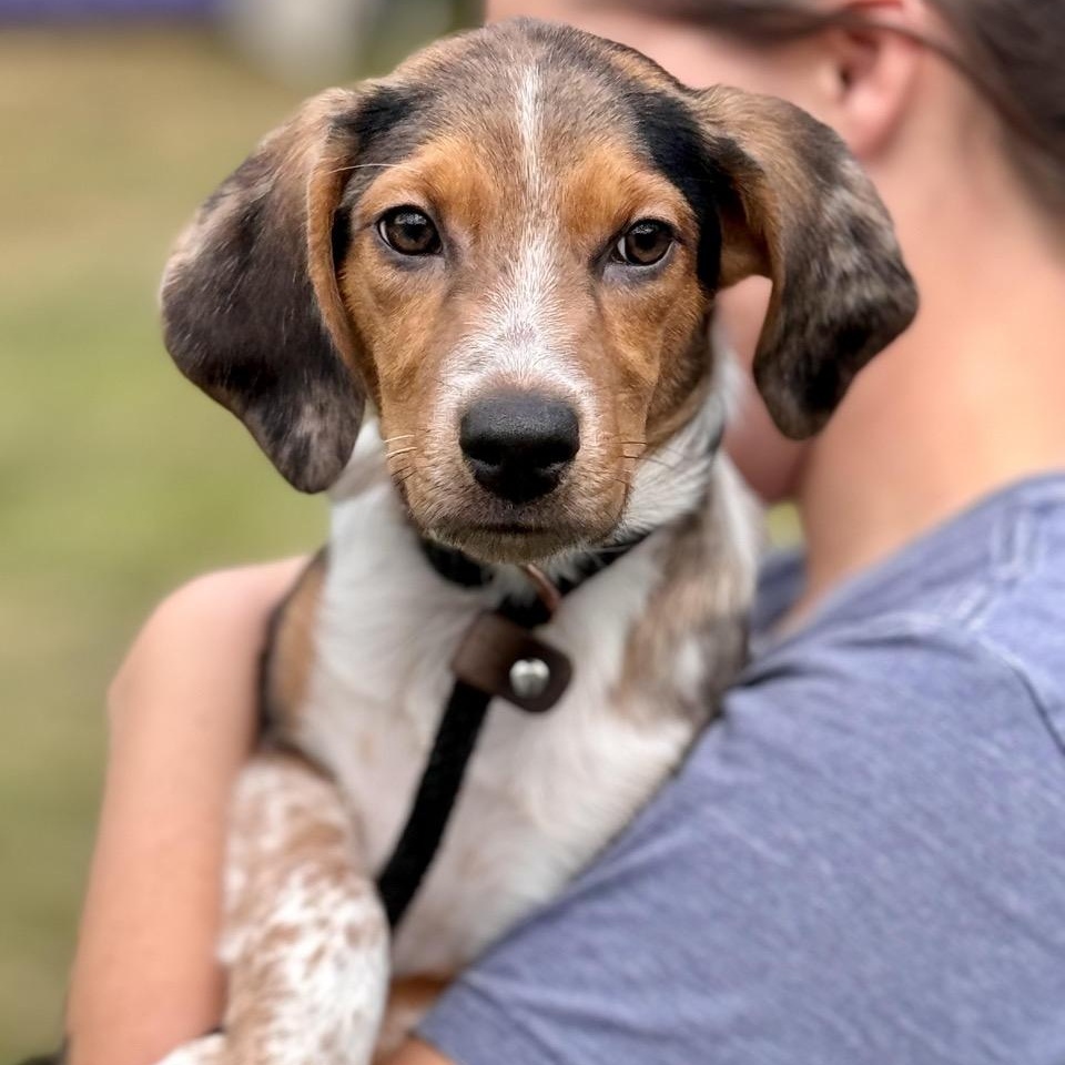 Jax