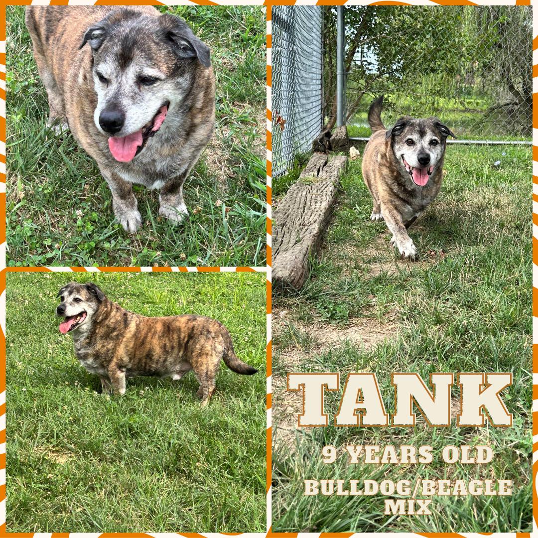 Tank