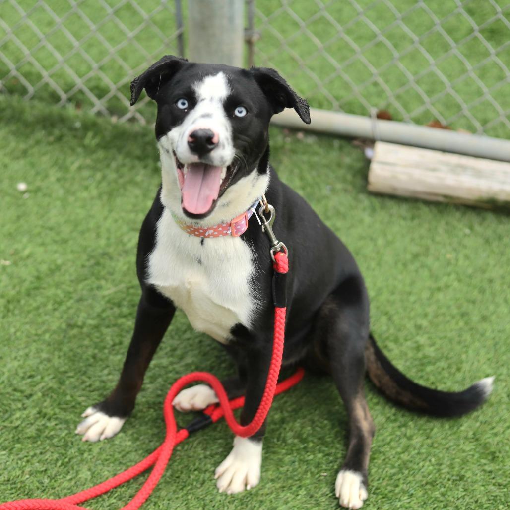 Lightning thumbnail 2