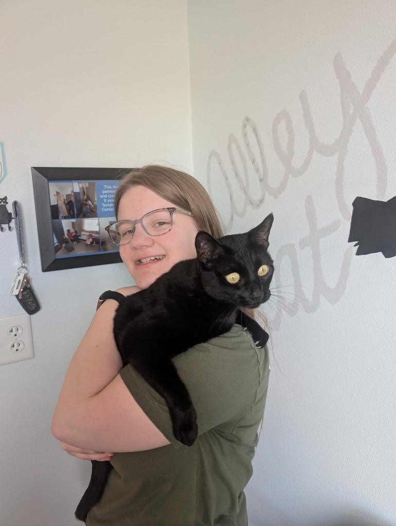 Enlarge Crab Rangoon, a Adoptable mixed breed in Menomonie, WI image 1/3