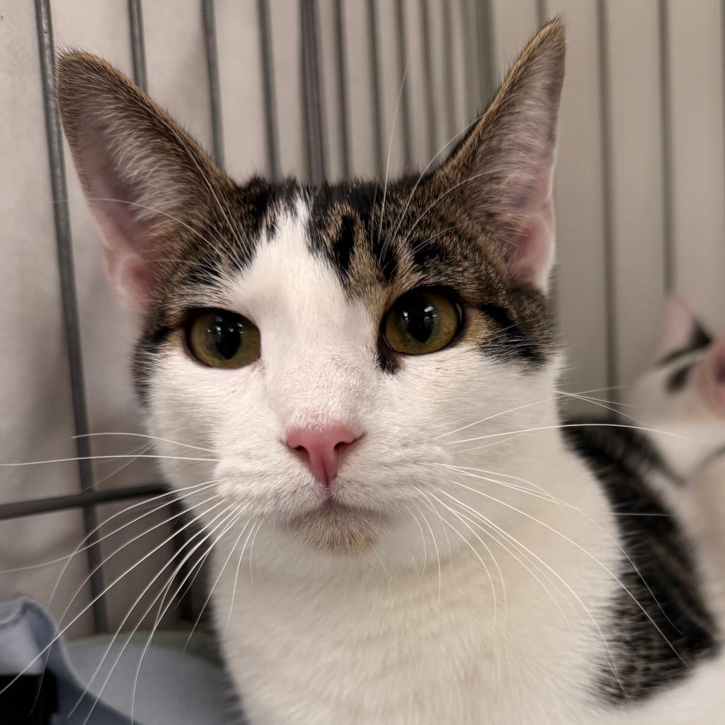 Casey — thumbnail 2