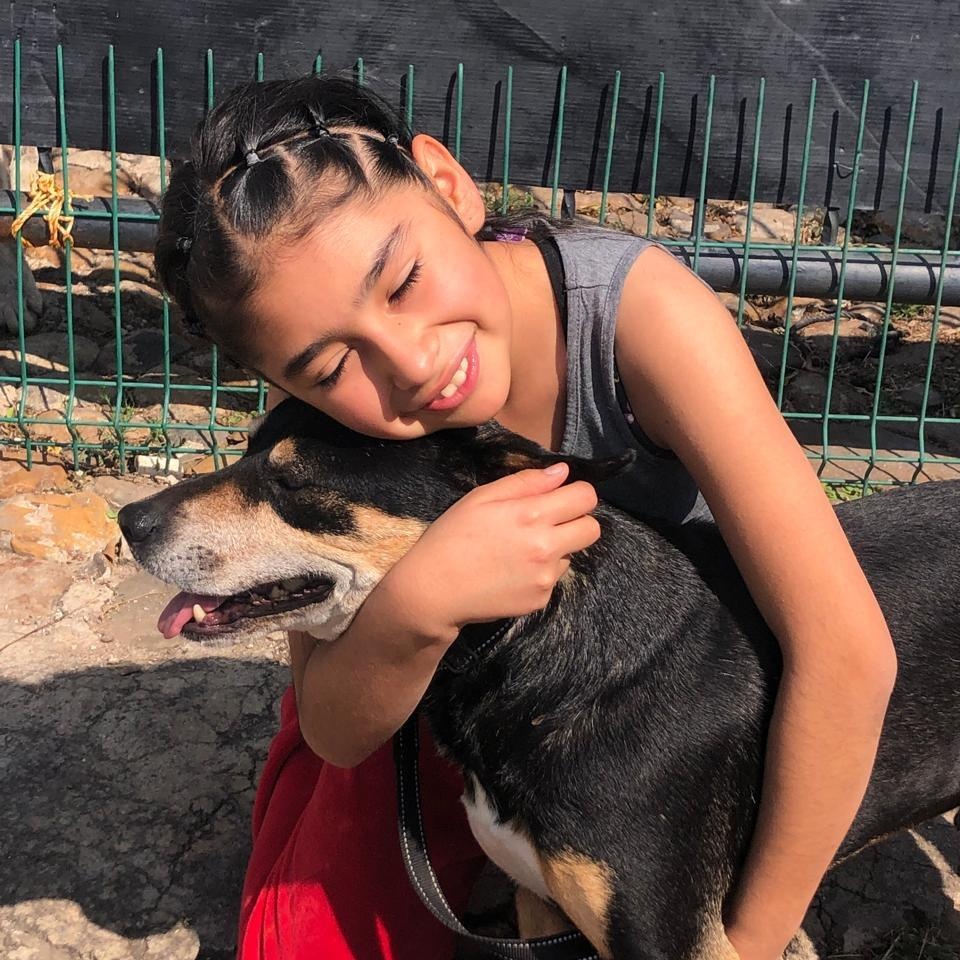 Enlarge Vito, a Adoptable mixed breed in Sherwood, OR image 5/6