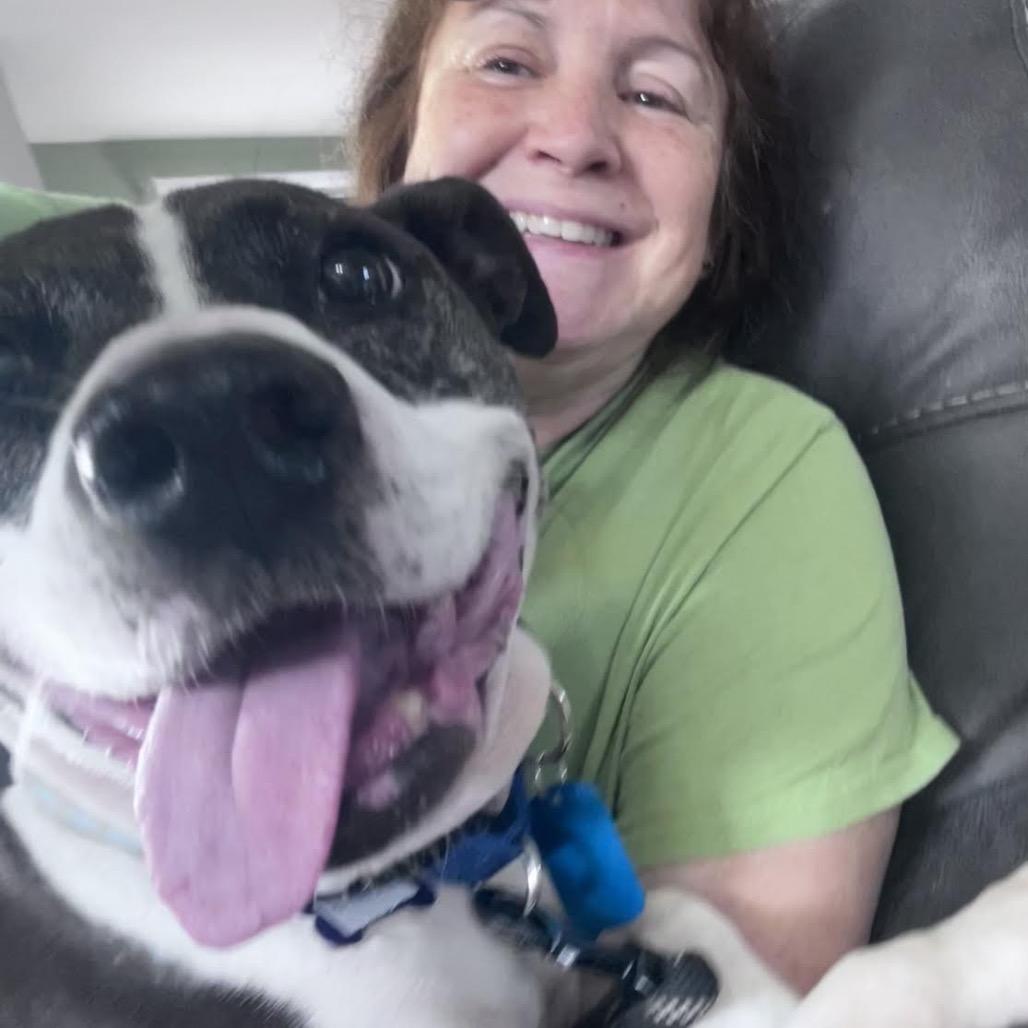 Eleanor, a Adoptable Mixed Breed in Madison, WI image 5/6