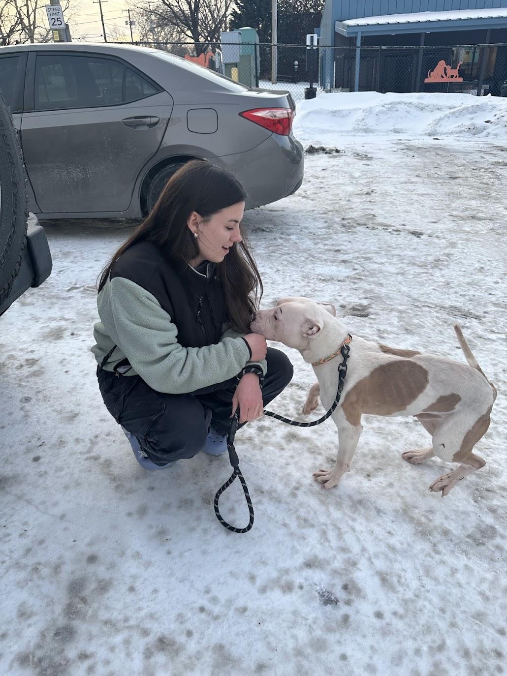 Enlarge Pizza Bagel , a ADOPTABLE Mixed Breed in Medford, NJ image 5/6
