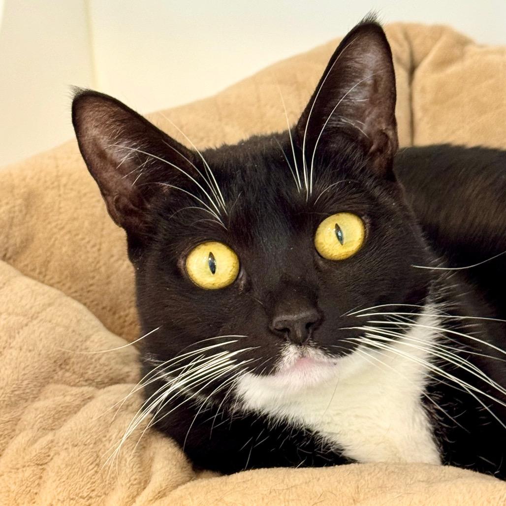 Boozy — thumbnail 2