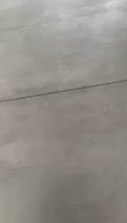 Enlarge Minnie, an adopted mixed breed in Claremont, CA video 5/5