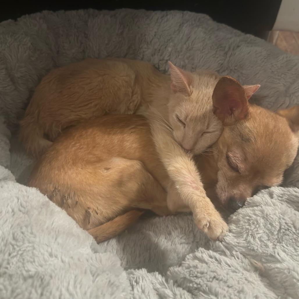 Rosemary Medina — thumbnail 2