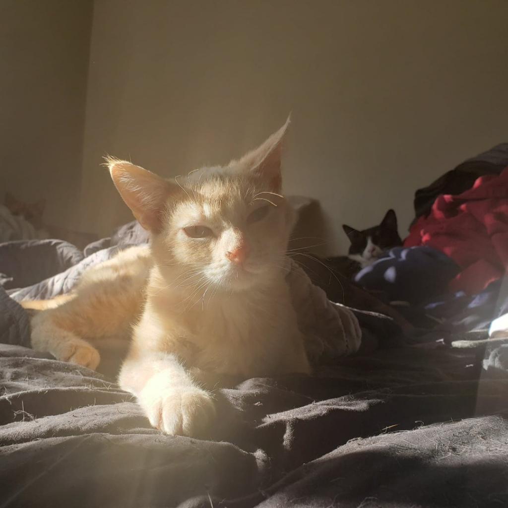 Rosemary Medina — thumbnail 3