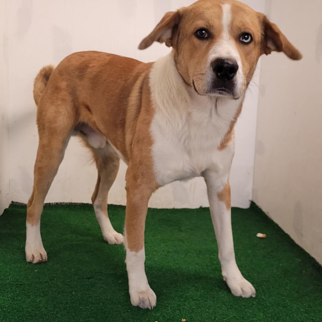 Olympus — thumbnail 6