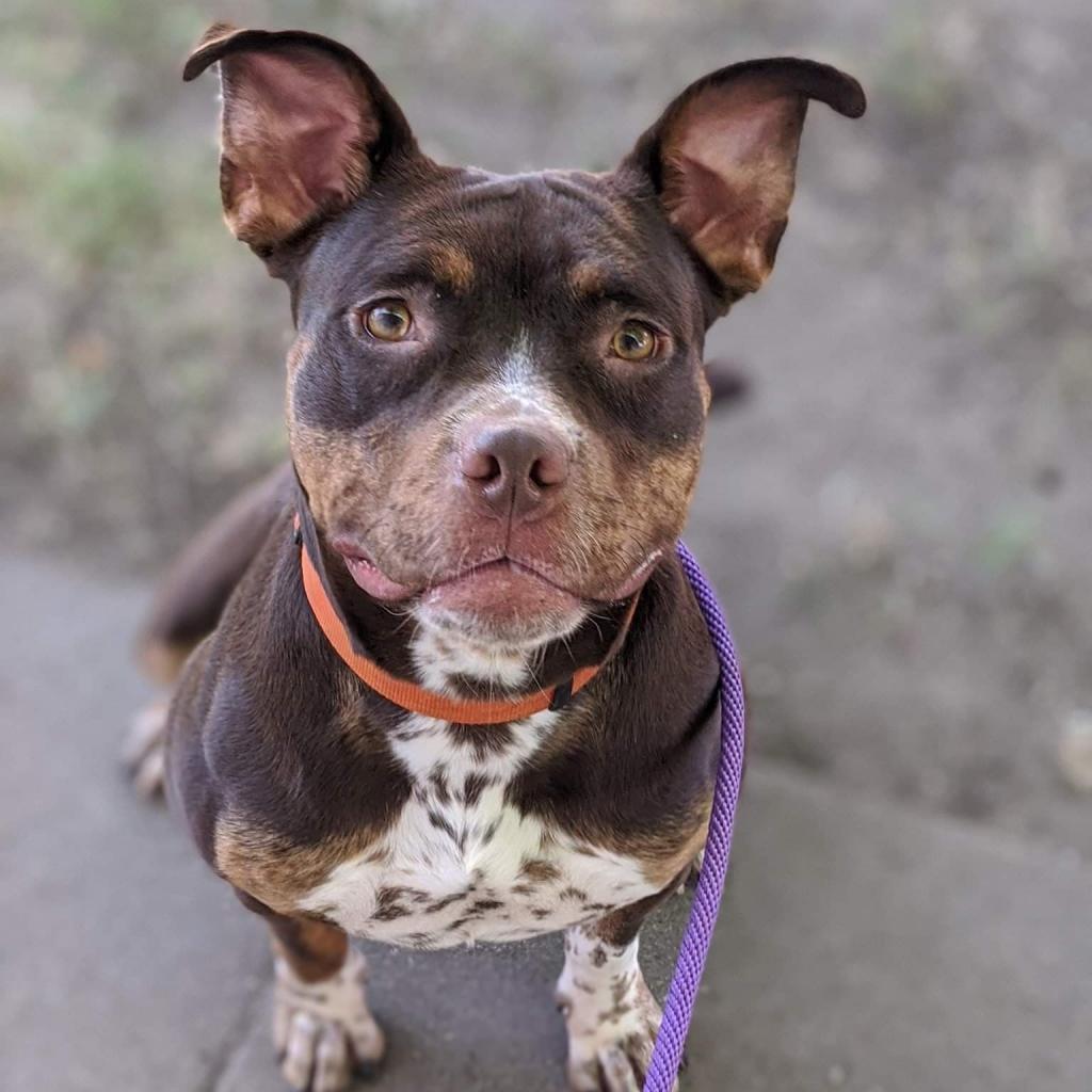 Tallulah — thumbnail 2