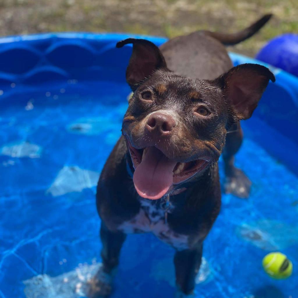 Tallulah — thumbnail 4