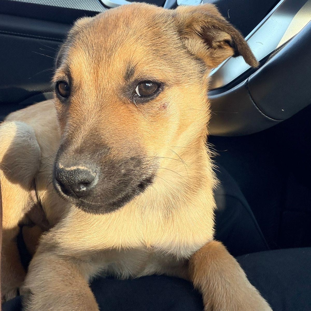 Punch — thumbnail 5