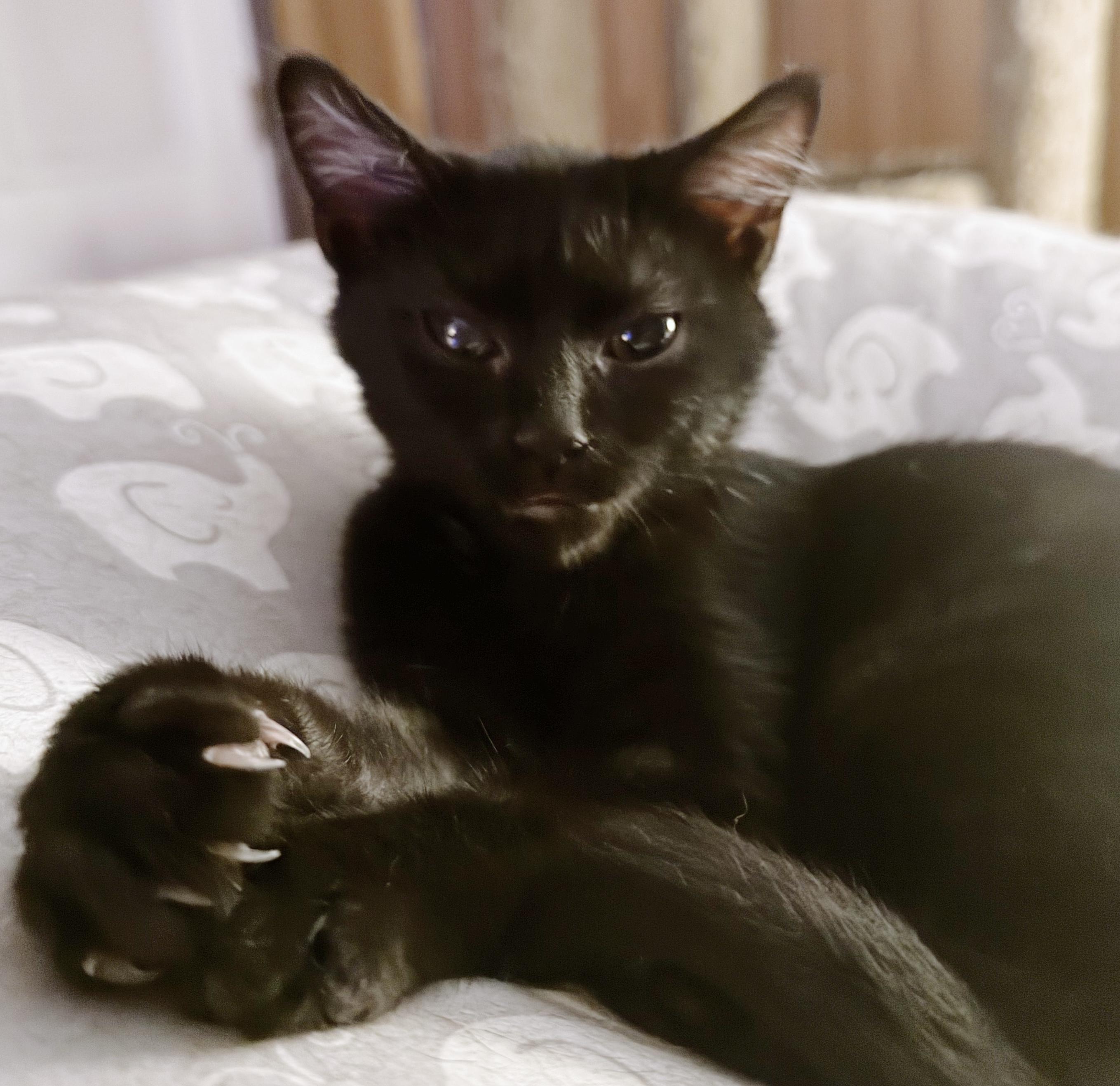 Cyclops aka Clopsy 2